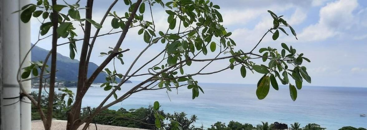 Northwest Bay Seaview Apartment โบวาลง ภายนอก รูปภาพ